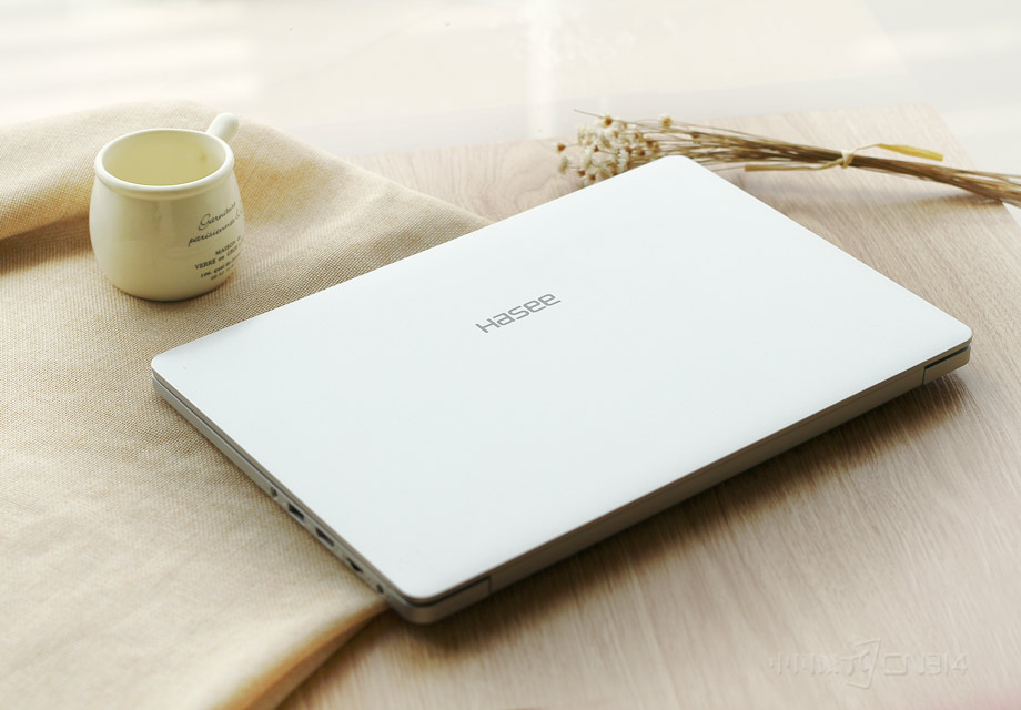 ��������X4�ڴ��о�����Ƶ�ͬʱ�������ʱ��Ԫ�أ��������ˣ�ֻ��һ�۾͹��ˡ�����������󷽣������ʸк�HASEE LOGO�����ӳ���������ԡ�