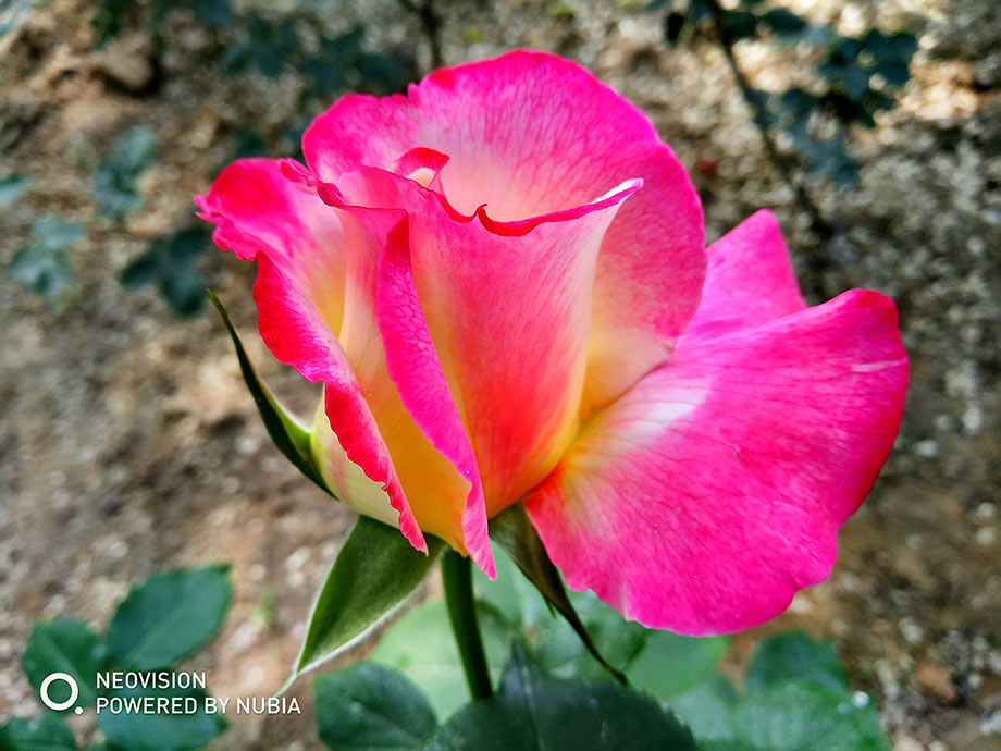 ����Z17mini��΢����������ʳ��壬ɫ������������ͻ���������黯�õ���