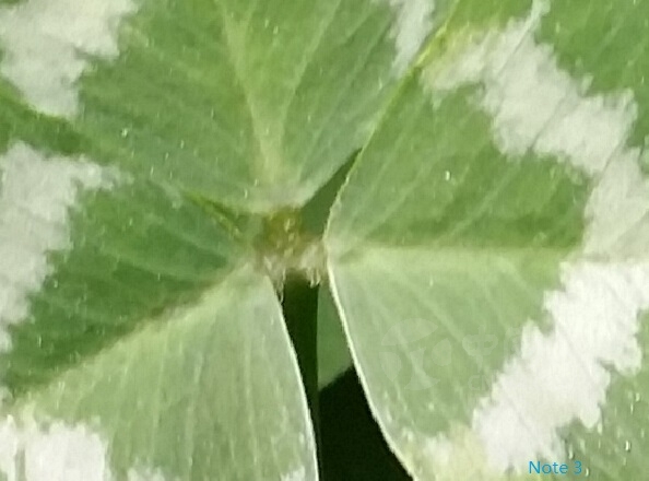 Mate 7�Ա�Note 3