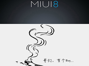 СMaxMIUI8 Bugʵ ˼