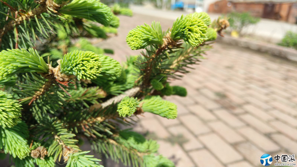 Ŭ����2477.png