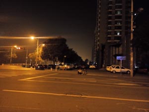 ��IMG_20130101_110511.jpg