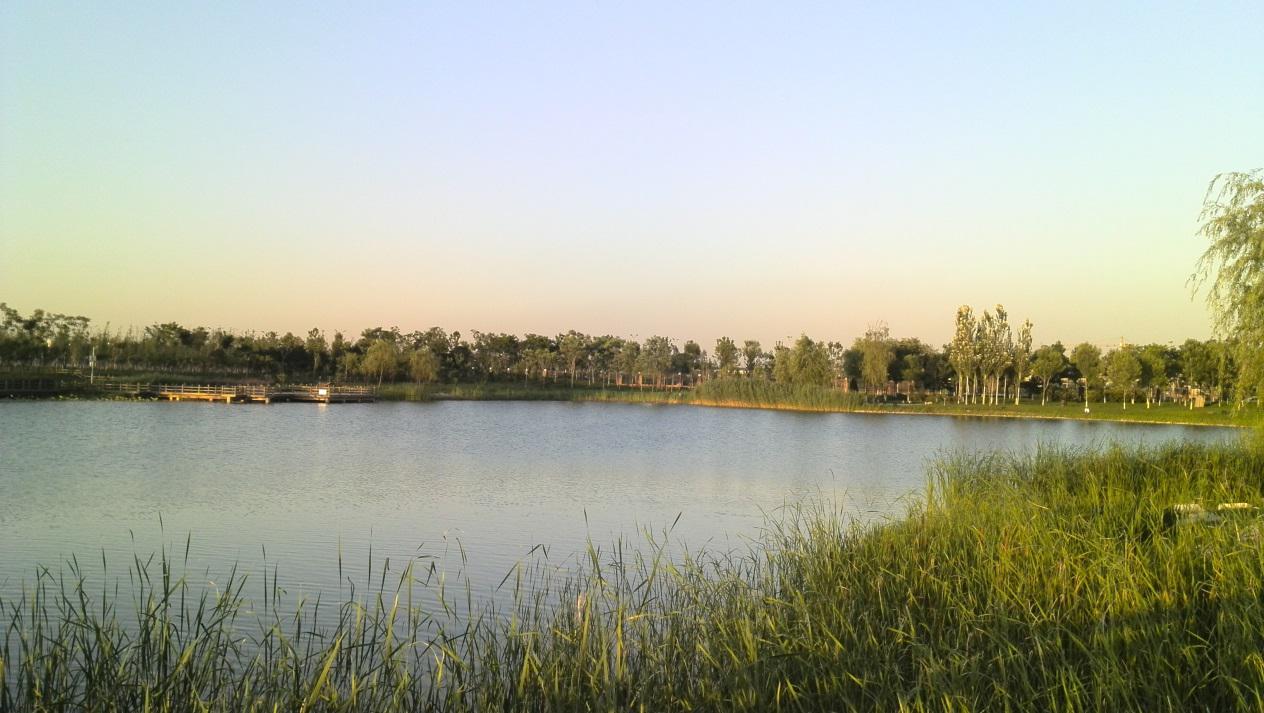 华为手机拍照镜像如何设置-华为手机镜像怎么