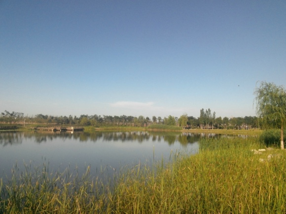 IMG_20130724_172703_028.jpg
