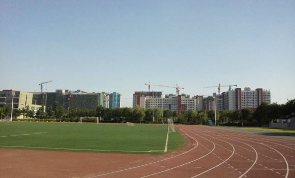 IMG_20120101140654.jpg