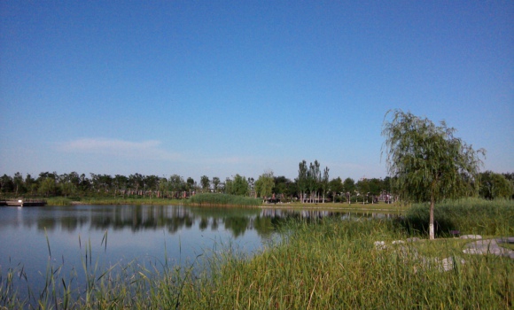 IMG_20120101141632.jpg
