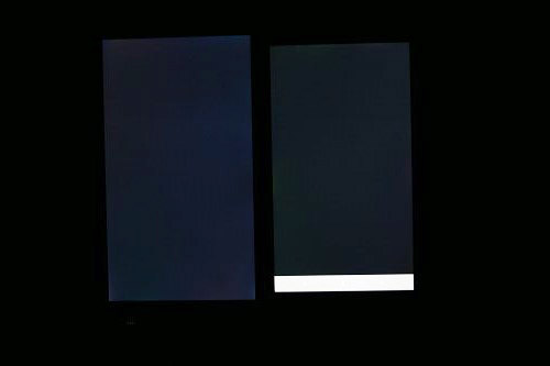 IMG_3559.JPG