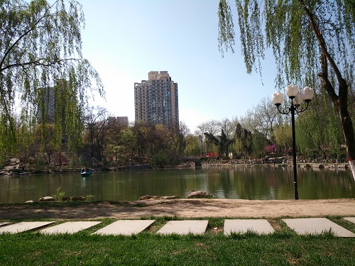 IMG_20140403_143237.jpg