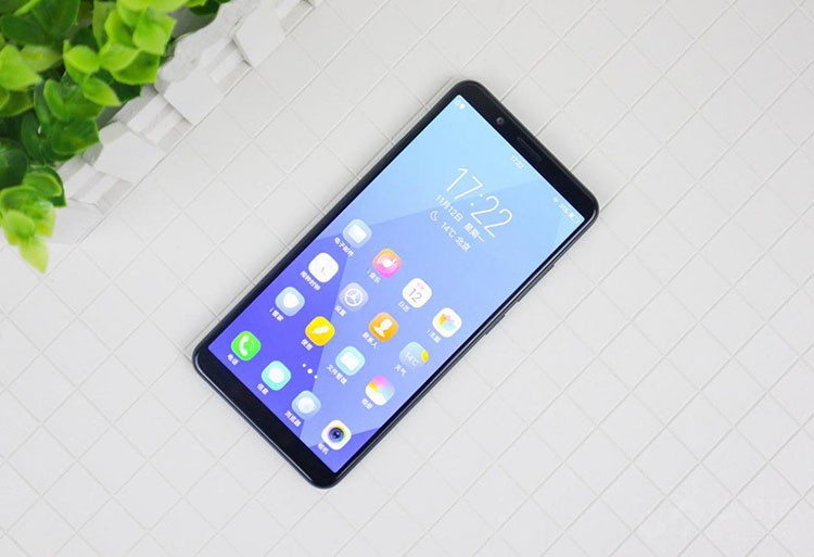 vivo