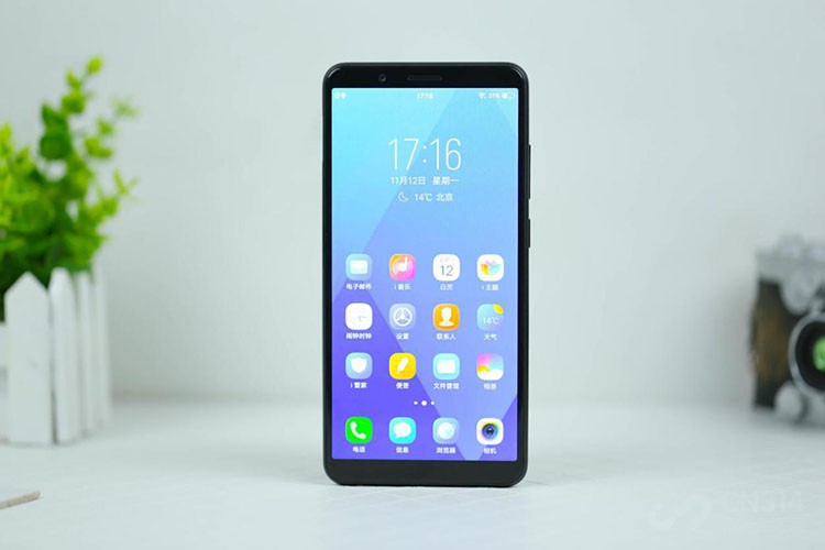 vivo