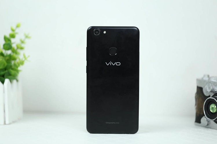 vivo