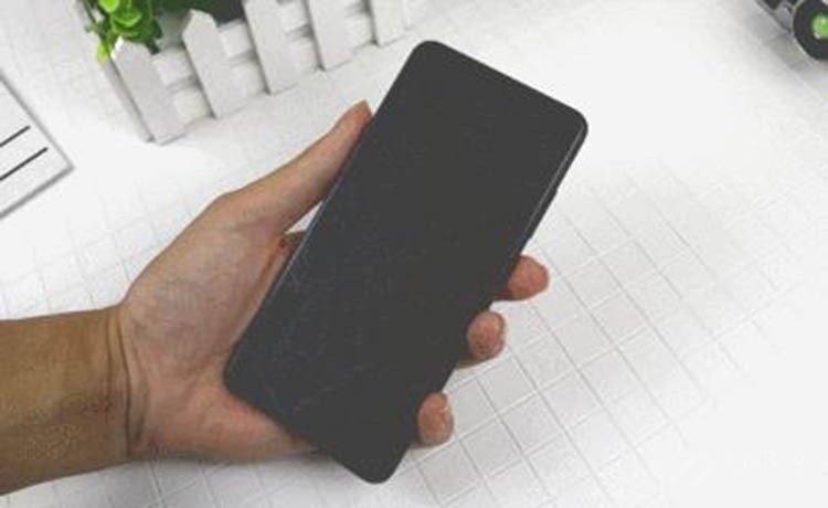 vivo