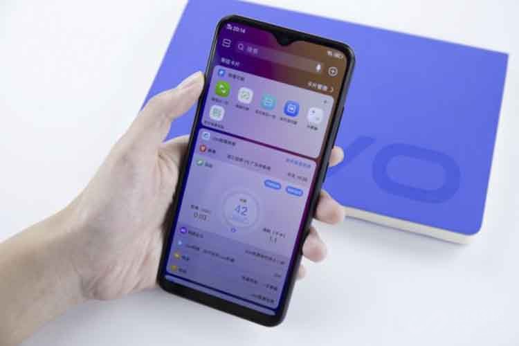 vivo