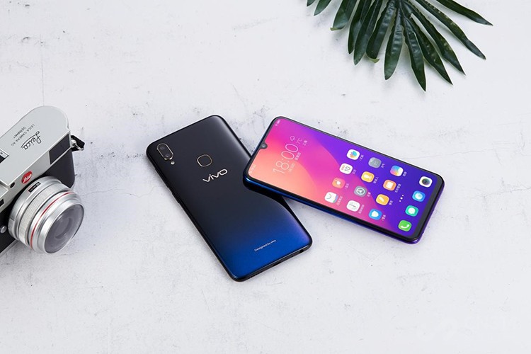 vivo