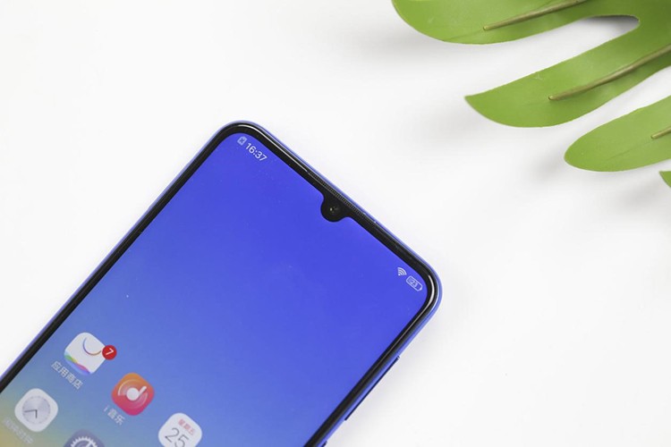 vivo