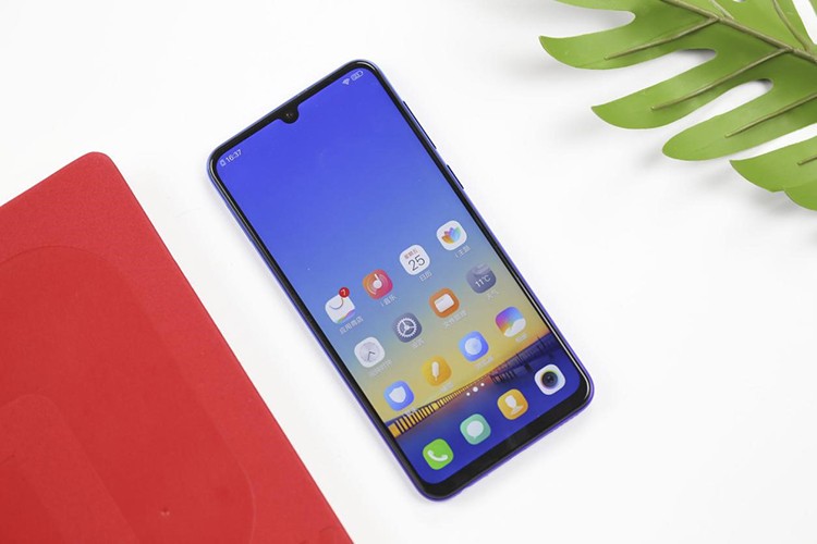 vivo
