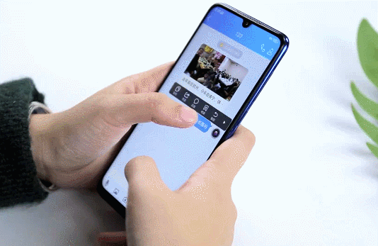 vivo