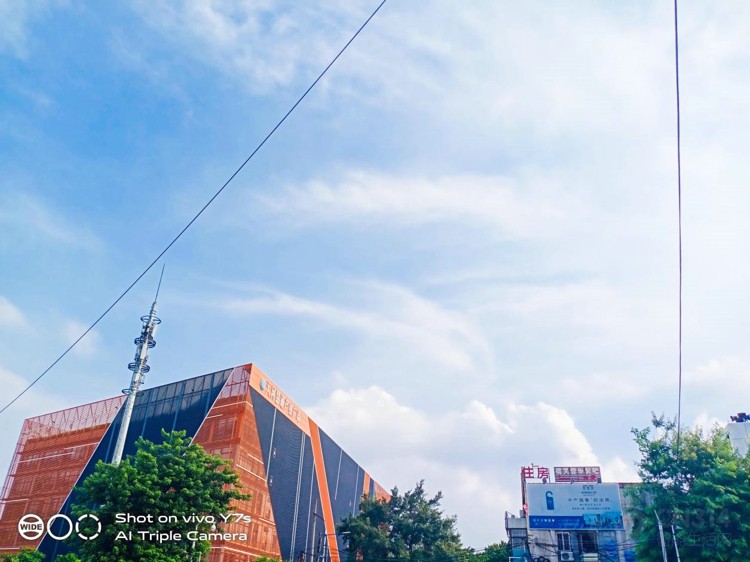 vivo