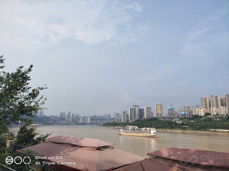 vivo