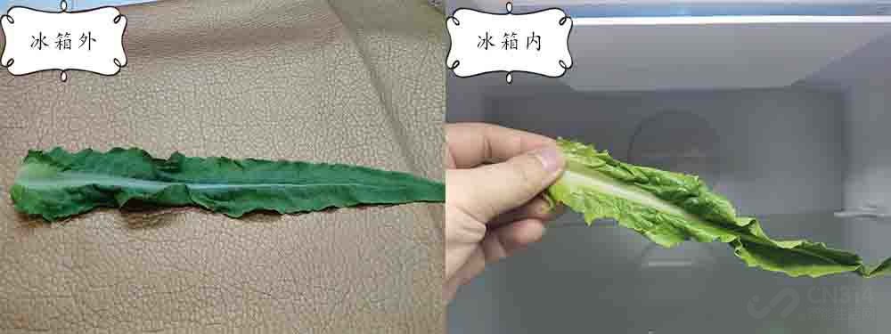 һܺȻ 322