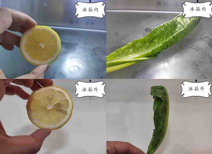 美的新风冷冰箱:颠覆对风冷冰箱的认知 美的新风冷冰箱:颠覆对风冷冰箱的认知