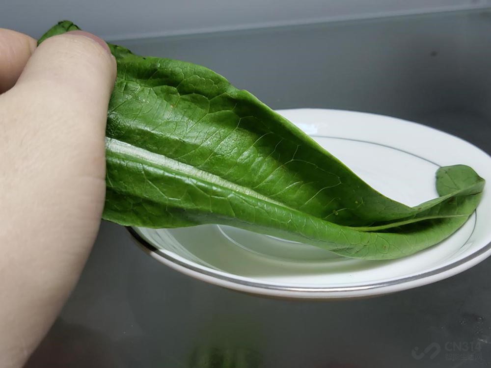 545飺СϺ