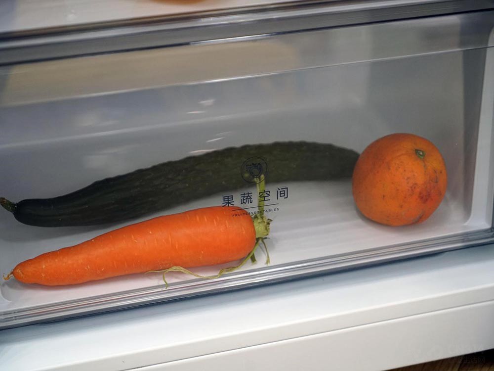 545飺СϺ