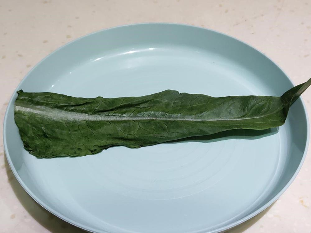545飺СϺ