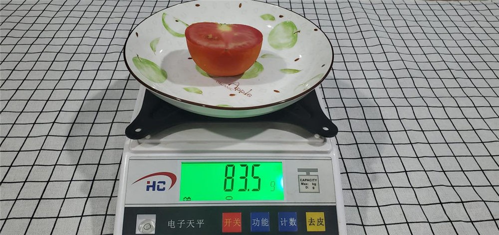 ϸѡ541 ɫ