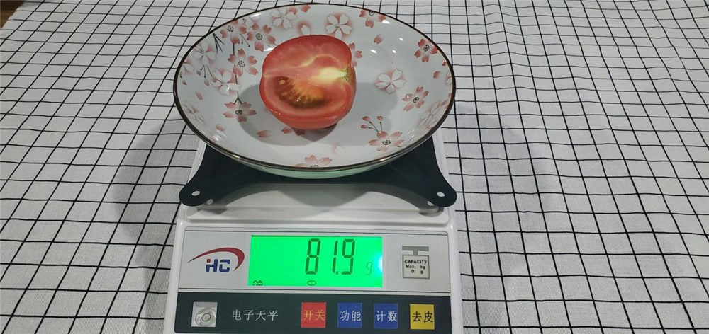 ϸѡ541 ɫ