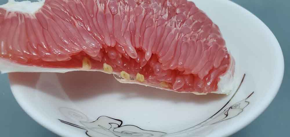 ϱ䱣ЧԱ 545ʤ