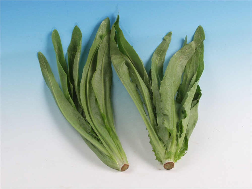 �¾ɱ���ײ˱��ʶԱȣ�ʧˮ�ʾ����7��