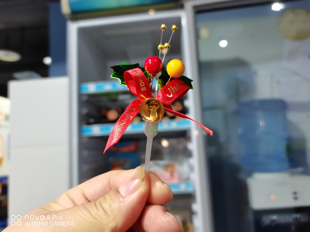 Ϊnova8 Pro 66W+ǰ˫ͷ