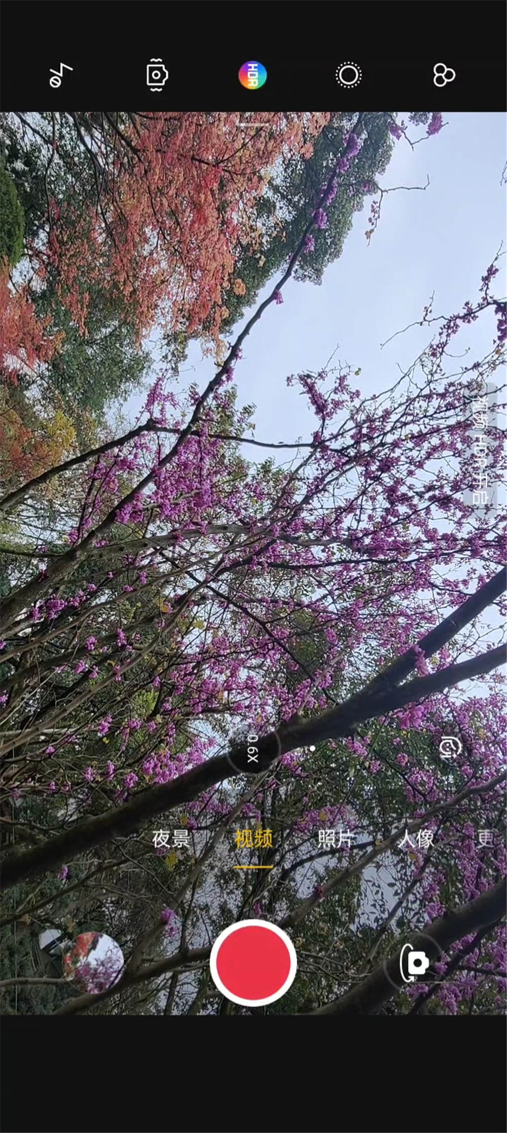 OPPO Find X3 Pro 10ɫɫԾǨ