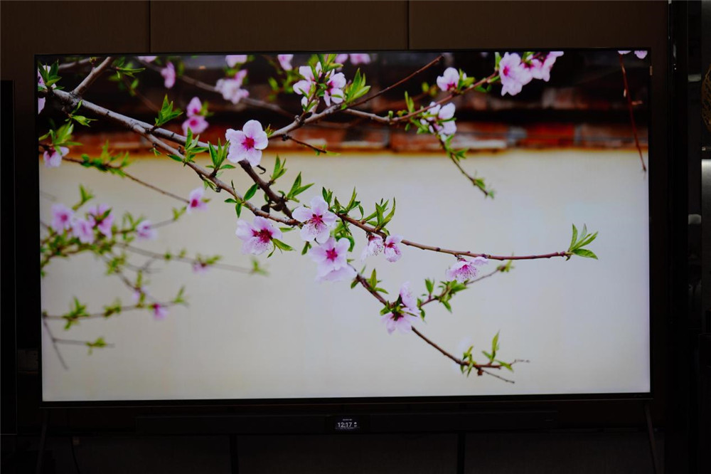 TCL 98X9C⣺ߴЧǵĿCλ