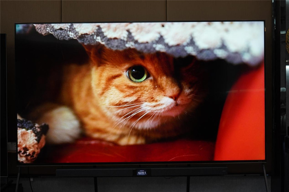TCL 98X9C⣺ߴЧǵĿCλ