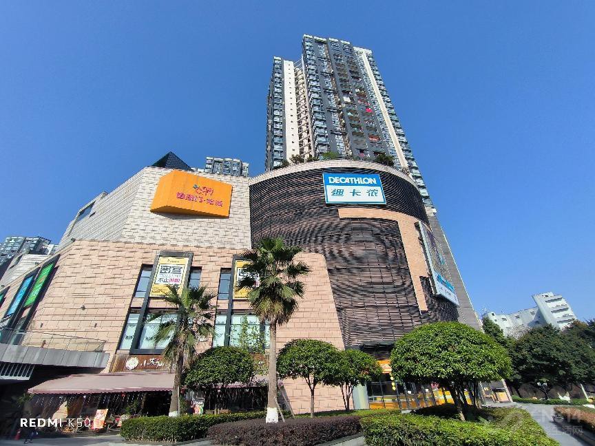 2500元最强对决 天玑8100新机谁更值得买