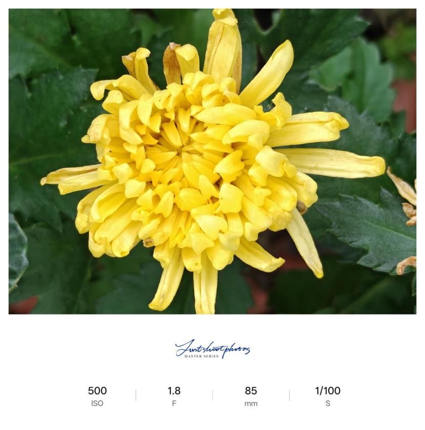 逐帧解析 一加15的165Hz到底流畅在哪? 逐帧解析 一加15的165Hz到底流畅在哪?