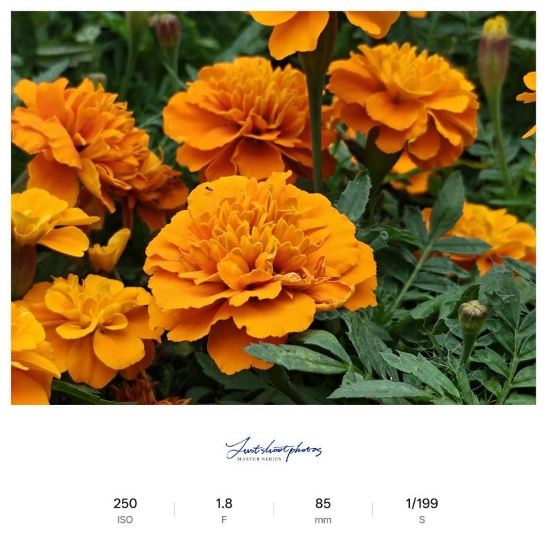 逐帧解析 一加15的165Hz到底流畅在哪? 逐帧解析 一加15的165Hz到底流畅在哪?