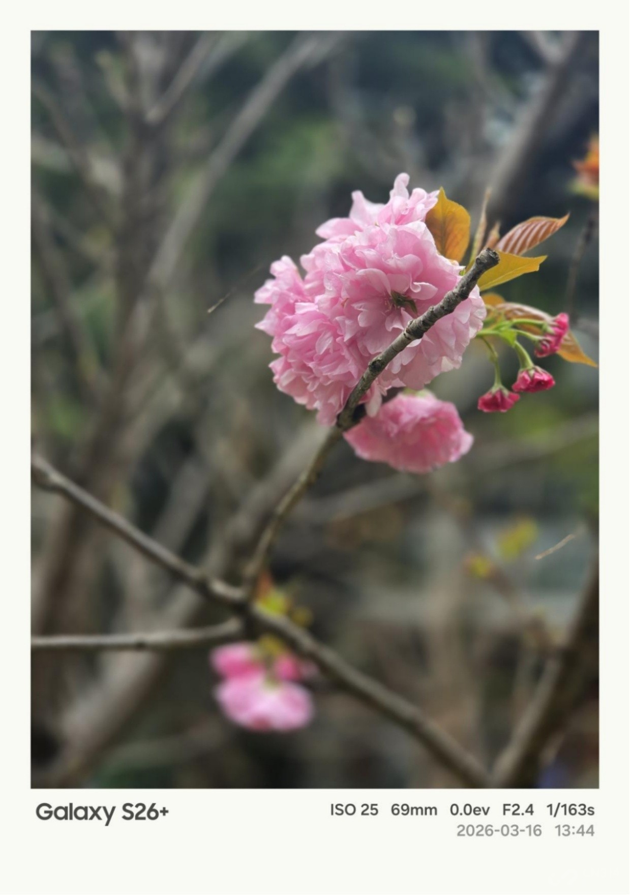 ����Galaxy S26+���� Galaxy AI����������