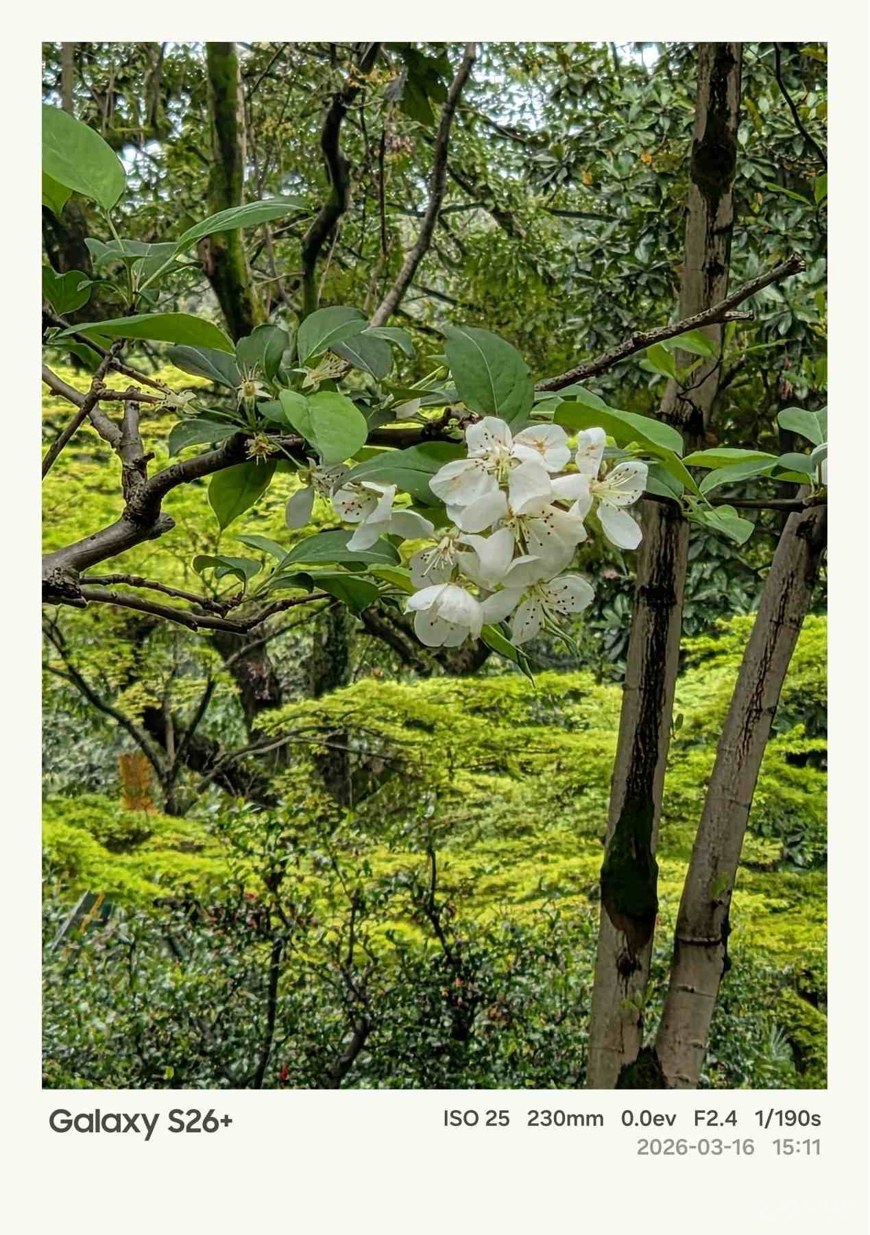 ����Galaxy S26+���� Galaxy AI����������