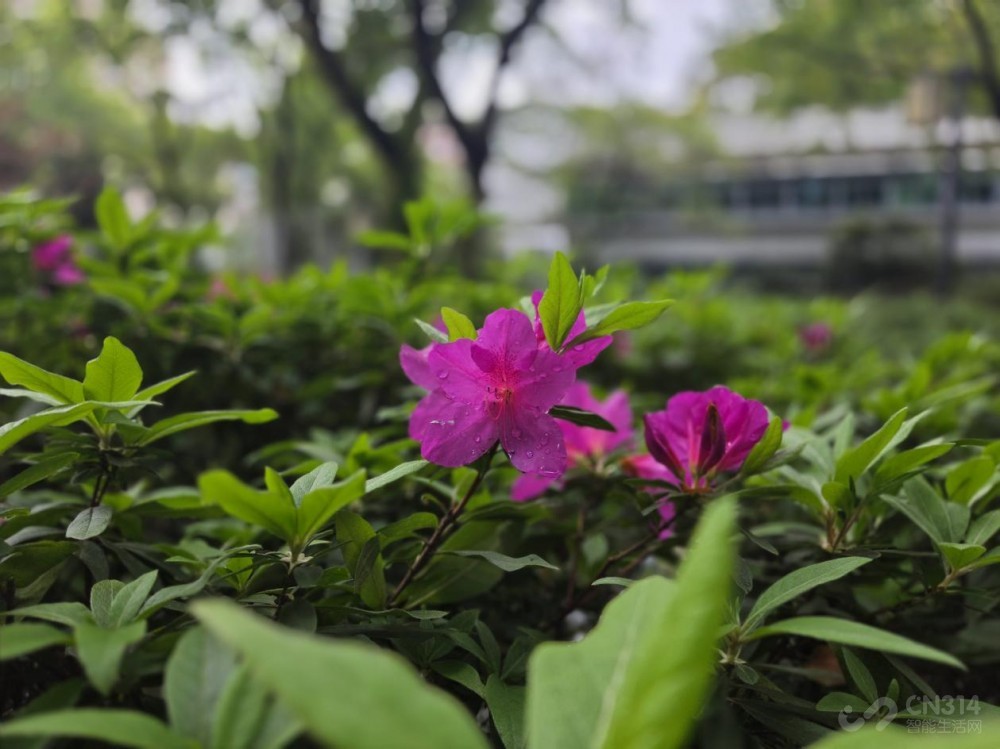 ����Galaxy S26+���� Galaxy AI����������