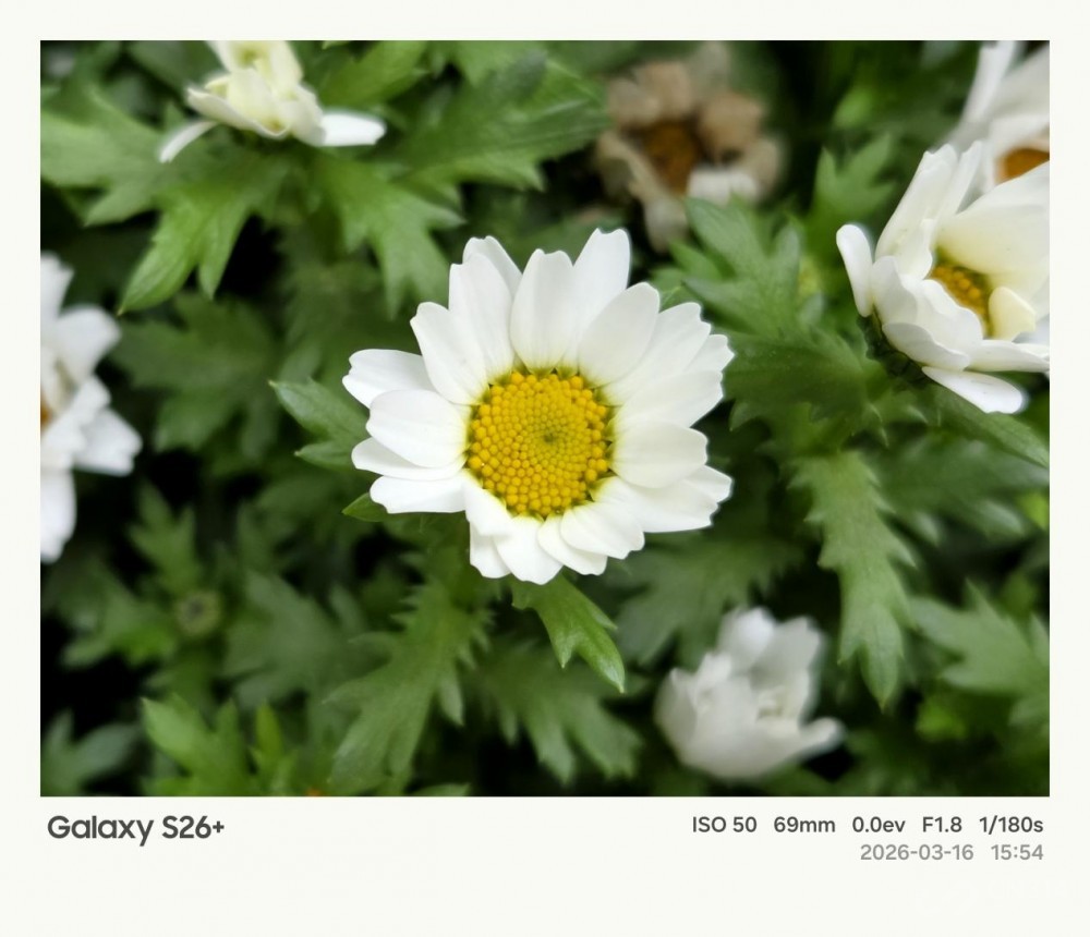 ����Galaxy S26+���� Galaxy AI����������