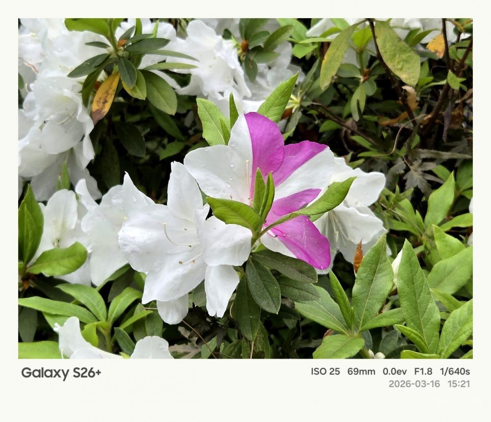 ����Galaxy S26+���� Galaxy AI����������