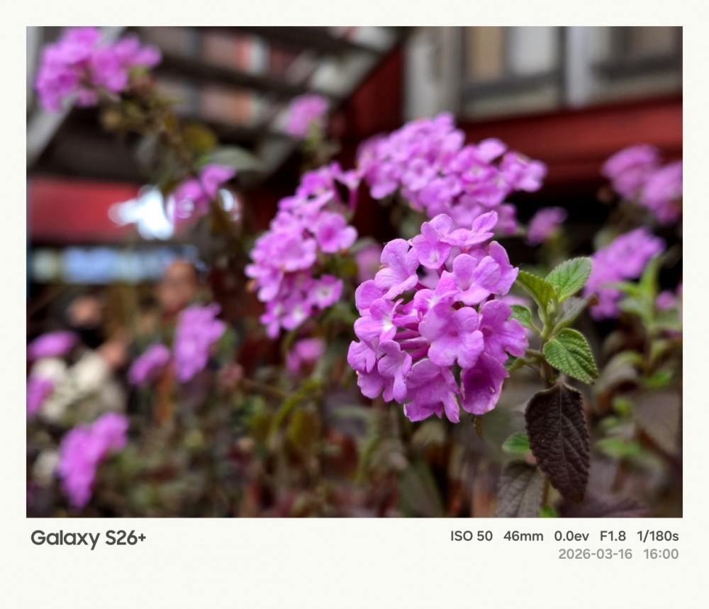 ����Galaxy S26+���� Galaxy AI����������