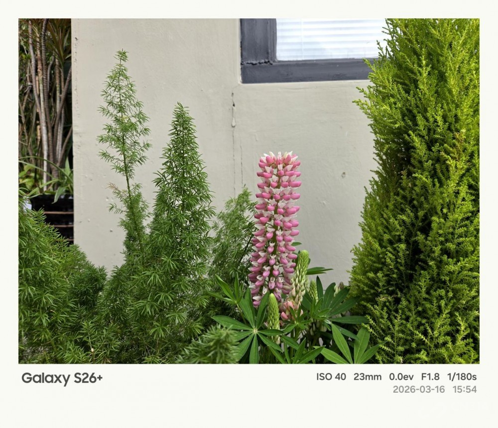 ����Galaxy S26+���� Galaxy AI����������