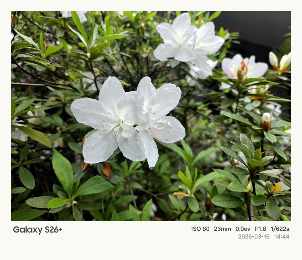 ����Galaxy S26+���� Galaxy AI����������