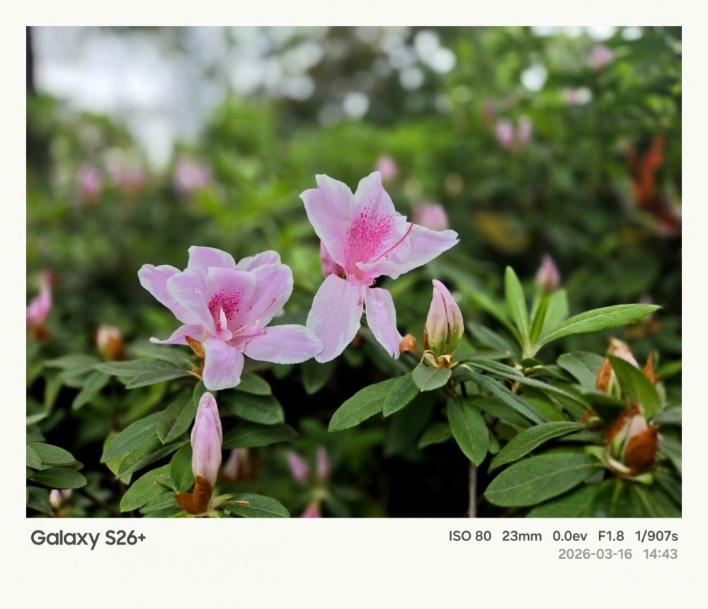 ����Galaxy S26+���� Galaxy AI����������