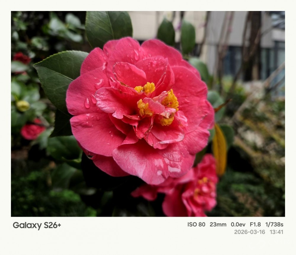 ����Galaxy S26+���� Galaxy AI����������