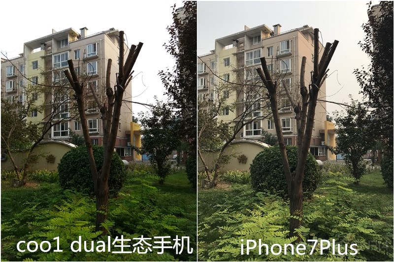 301.jpg